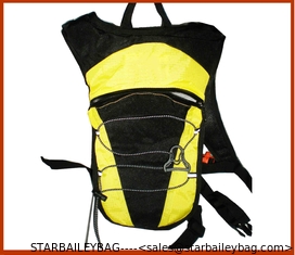 China Hiking Backpack supplier