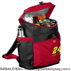China Jeff Gordon NASCAR Backpack Cooler cooler bag lunch boxes supplier