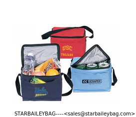 China polyester can cooler bag supplier