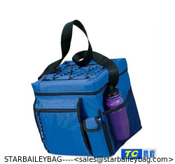China Multi-function cooler bag picnic bag supplier