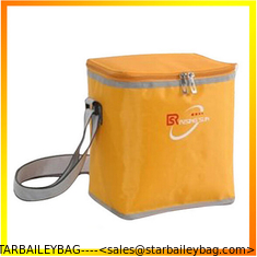 China Wholesale high quality insulated carry cooler bag supplier