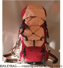 China 2013 freedom travel sport hiking bag-45L supplier