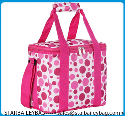 China Insulated Lunch Cooler bag fashion Lunch Tote bag ,Insulated 12-can carrying cooler bag supplier