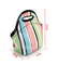 Neoprene lunch bag for woman/Lunch ice bag/Portable lunch bag supplier