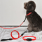 Ready To Ship: Lighting Pets Nylon Chains Sets Small Size USB Chargering Dog Leashes And Dog Collars supplier