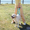 Ready To Ship: Pets Leashes Nylon Webbing Retractable Double Handle EVA Wrist Dog Chains Leash supplier