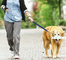 Custom Middle Size Nylon Spandex Pets Leashes Comfortable Wrist Custom Dog Chains Reflective Elastic Leash supplier